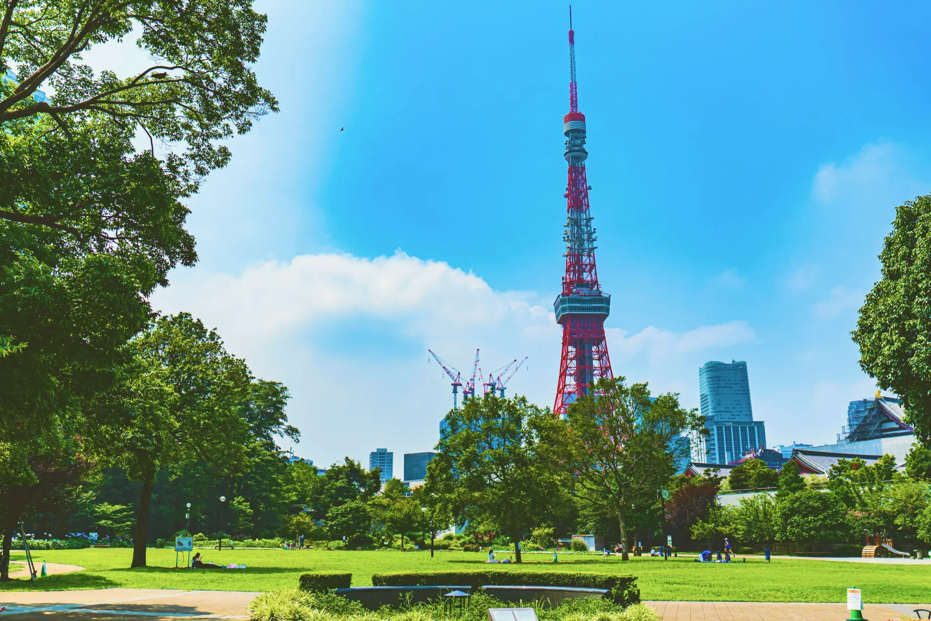 東京タワーと公園